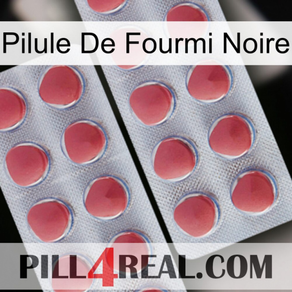 Black Ant Pill 19